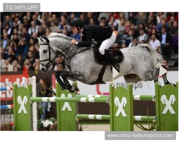 西班牙马术代表队在国际马术比赛中取得优异成绩，提升国际声誉。